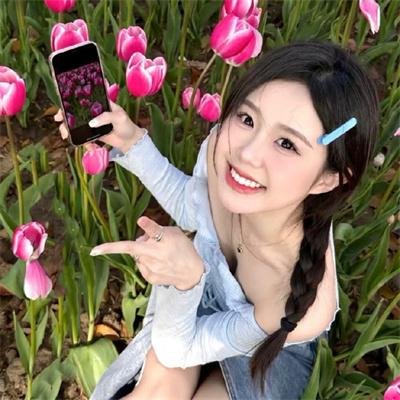 百慕迷踪