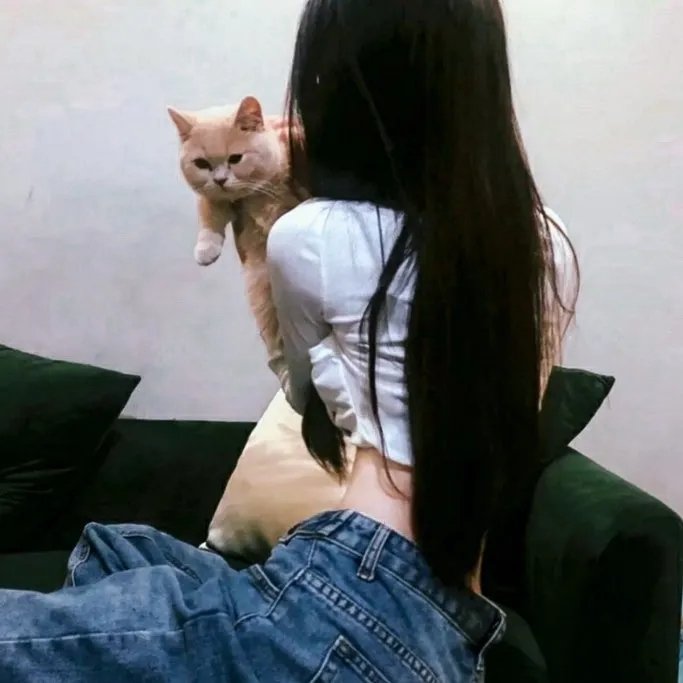 超人特攻与钢铁人
